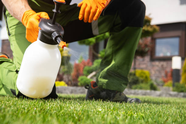 Best Mosquito Control Services  in Farmville, VA