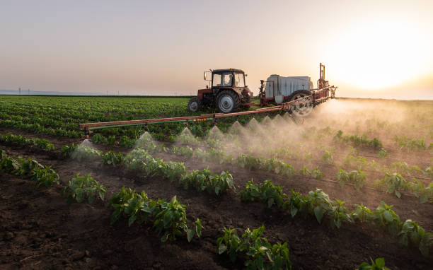 Best Commercial Pest Control Services  in Farmville, VA