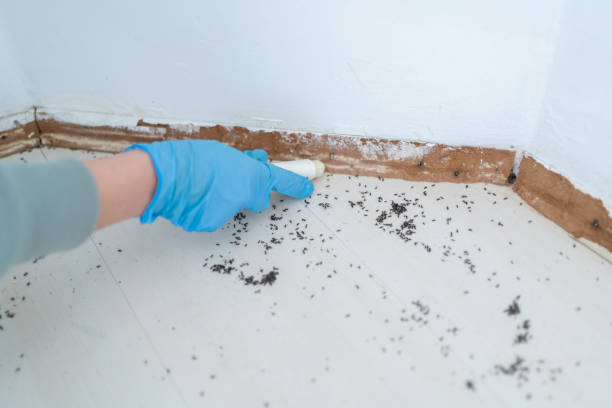 Best Bed Bug Extermination  in Farmville, VA
