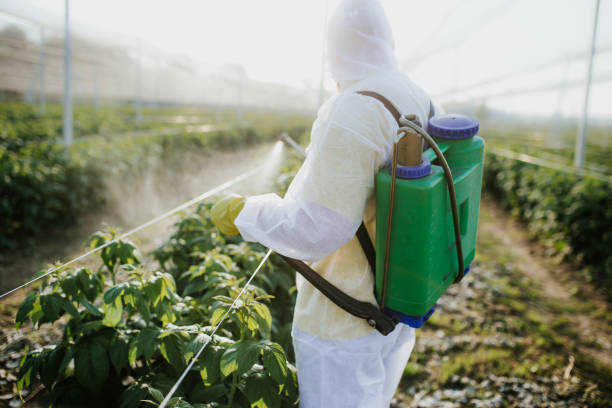 Best Residential Pest Control  in Farmville, VA